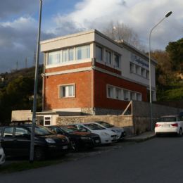p1590328