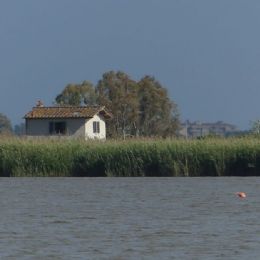 p1610382