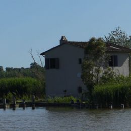 p1610395
